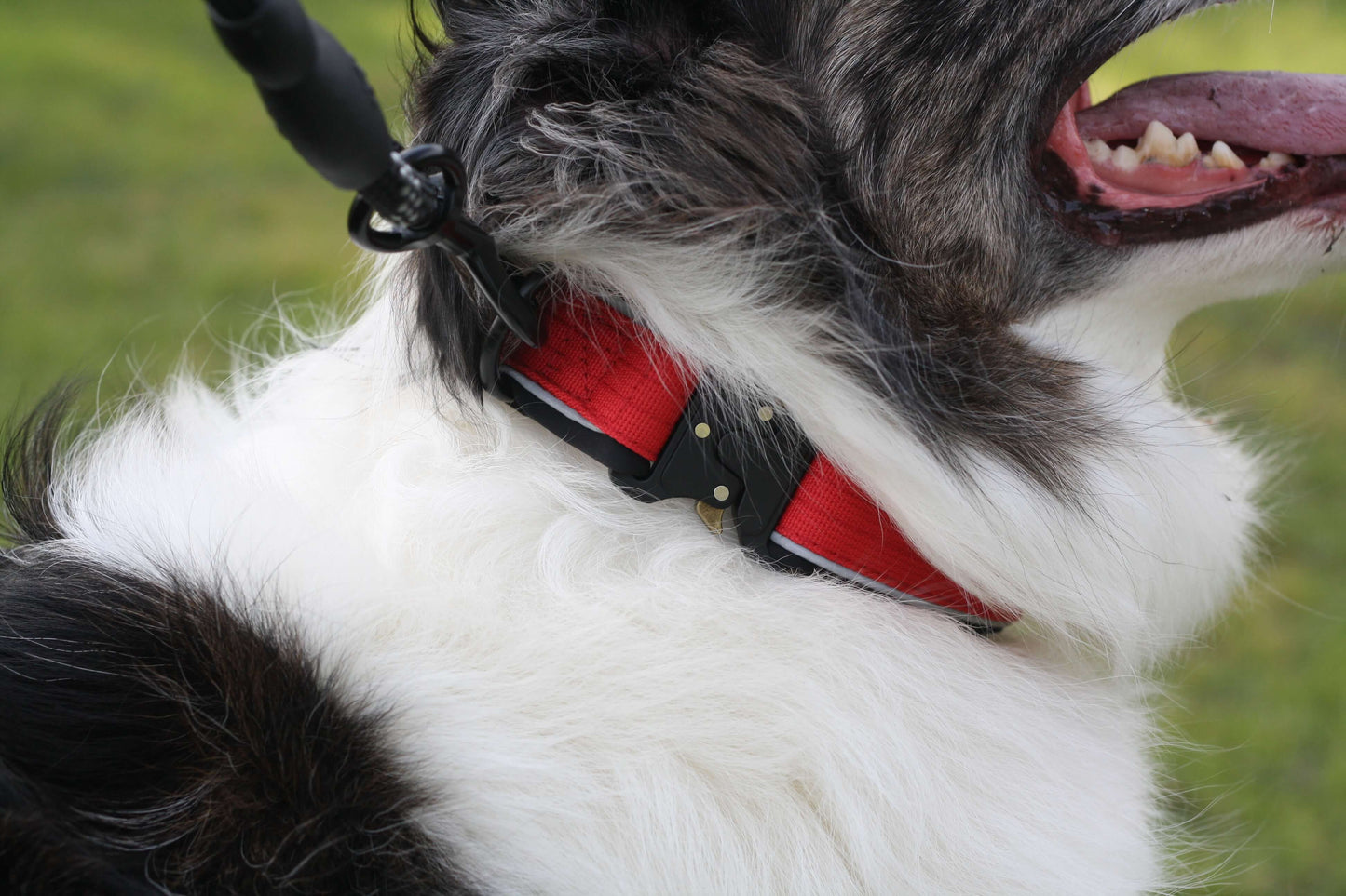 FANG Strong Reflective Dog Collar Crimson Red L XL