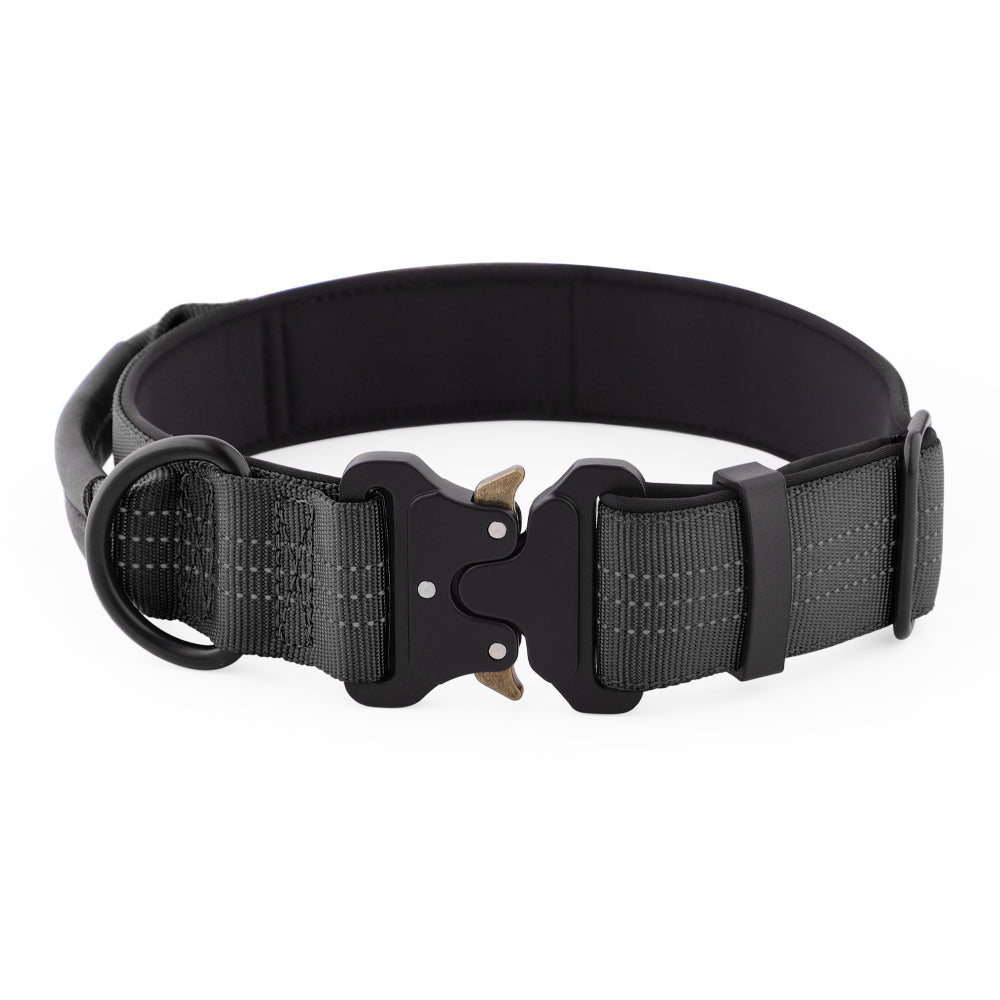 Black dog collar with a buckle on a white background