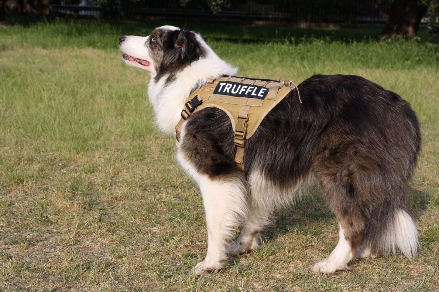 TITAN No Pull Dog Harness – Heavy Duty Front Clip Large Dog Harness Taupe Brown