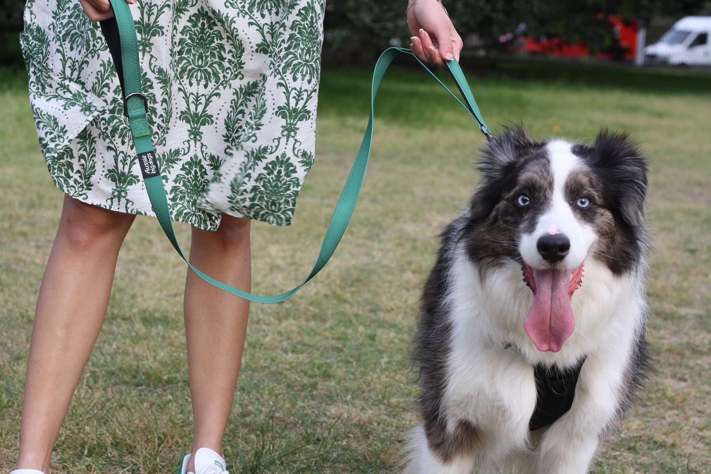 CRAYON Dual Handle Large Dog Leash Forest Green