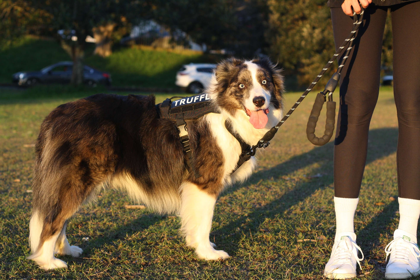 TEMPO Reflective Rope Dog Leash Onyx Black