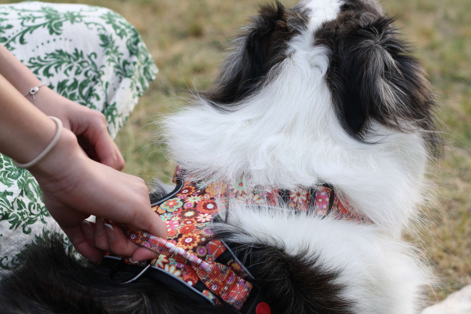 ATLAS dog harness collection