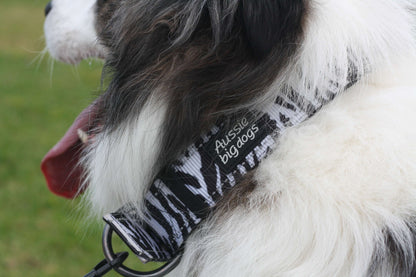 DELTA Tactical Large Dog Collar Urban Zebra