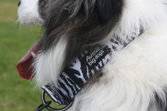 DELTA Tactical Large Dog Collar Urban Zebra