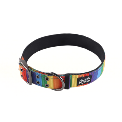 rainbow large strong dog collar with black buckle on a white background