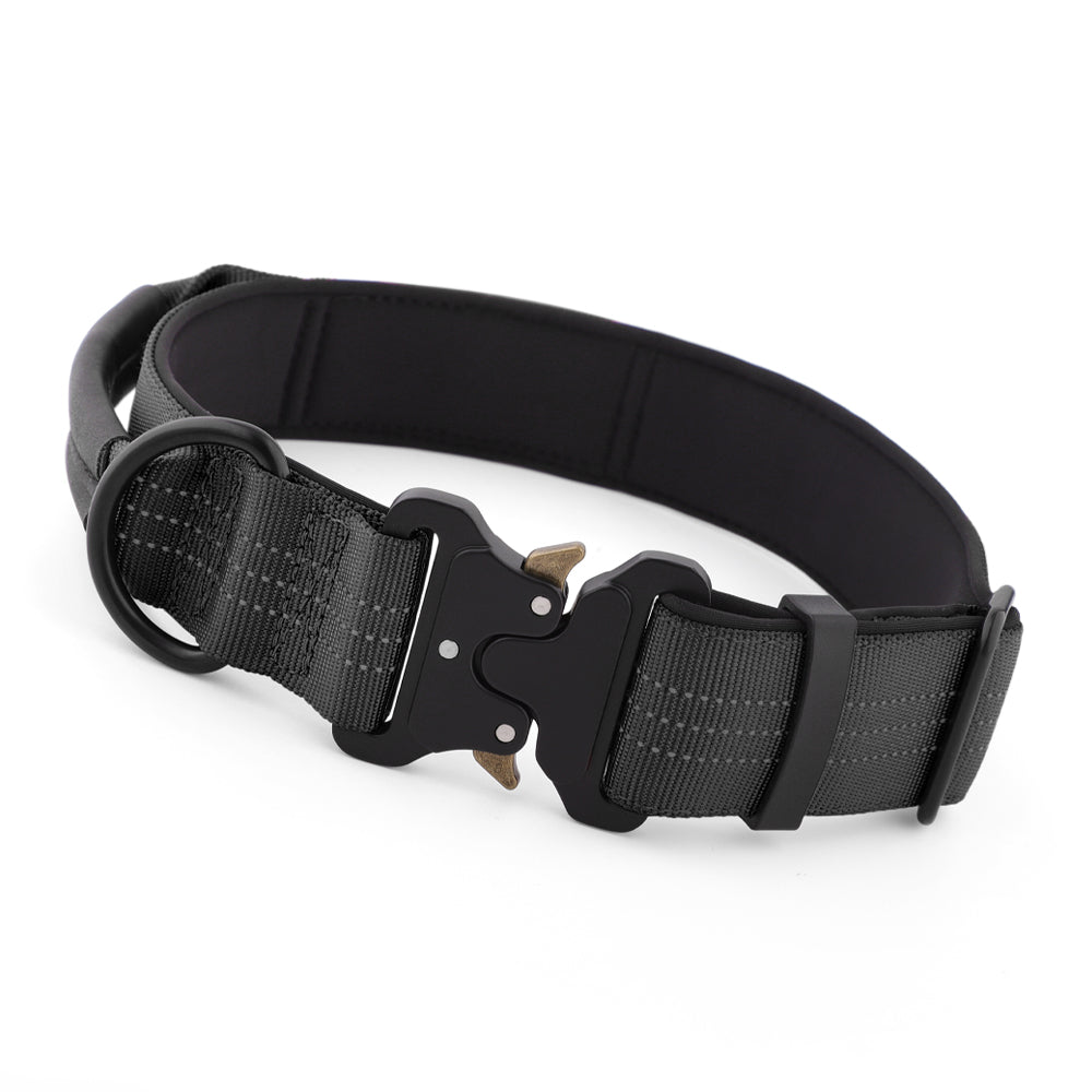 Black dog collar with metal buckle on a white background