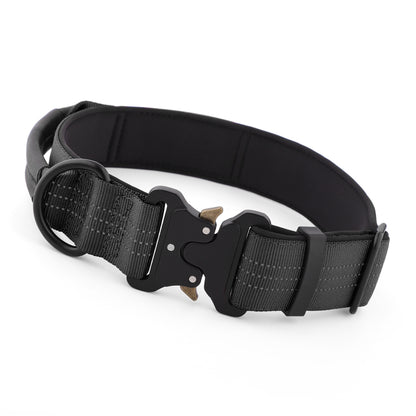 Black dog collar with metal buckle on a white background