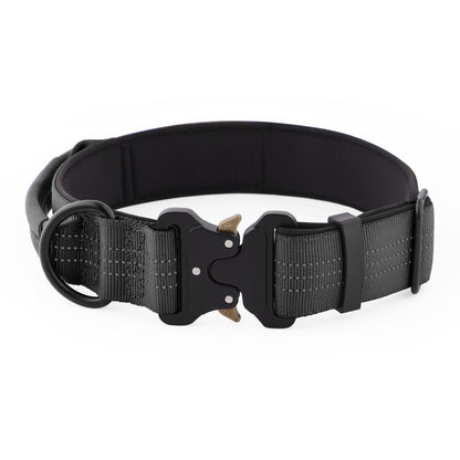 Black dog collar with a buckle on a white background