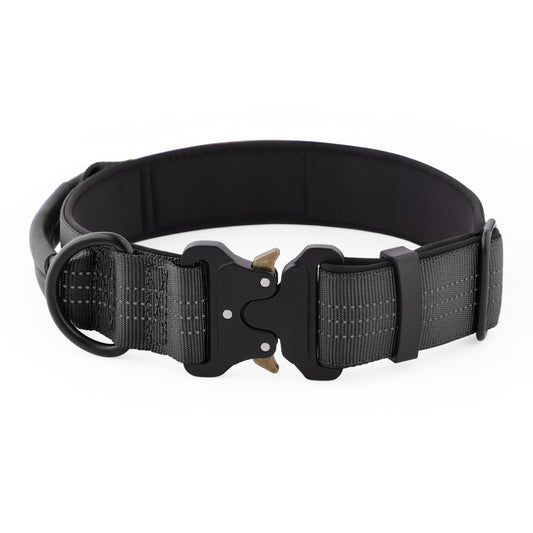 Black dog collar with a buckle on a white background