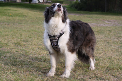 ATLAS No Pull Dog Harness Boho Stripe