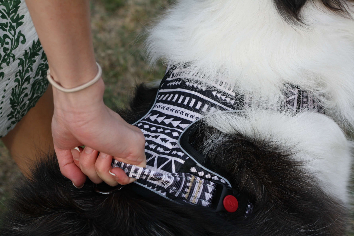 ATLAS No Pull Dog Harness Boho Stripe