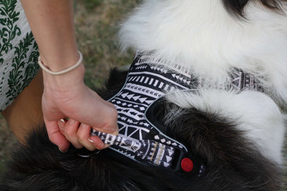 ATLAS No Pull Dog Harness Boho Stripe