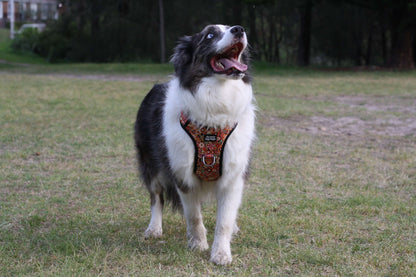 ATLAS No Pull Dog Harness Tangerine Bloom