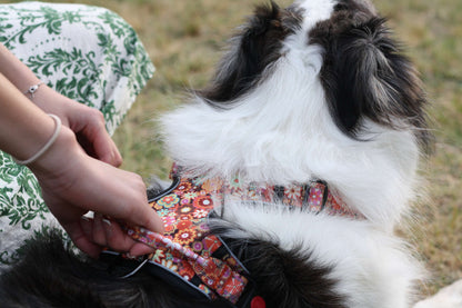 ATLAS No Pull Dog Harness Tangerine Bloom