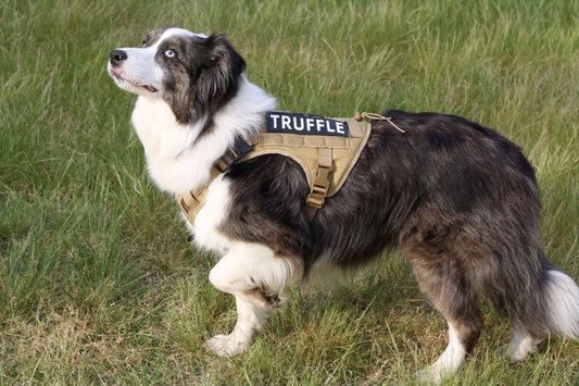 TITAN No Pull Dog Harness – Heavy Duty Front Clip Large Dog Harness Taupe Brown