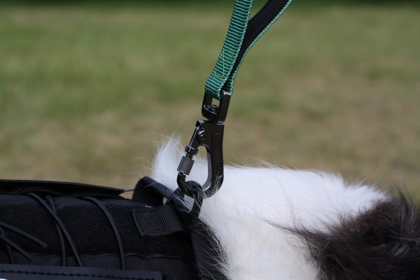 CRAYON Dual Handle Large Dog Leash Forest Green