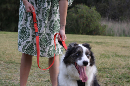 CRAYON Dual Handle Large Dog Leash Sunset Orange