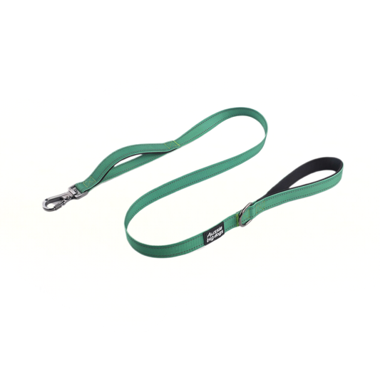 CRAYON Dual Handle Large Dog Leash Forest Green
