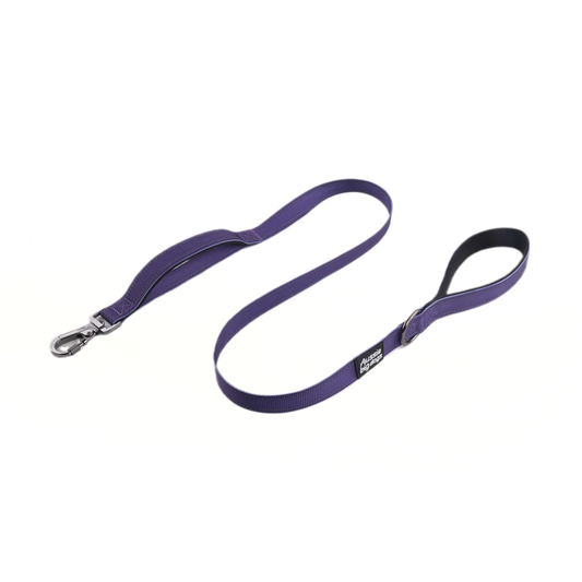 purple dog leash on white background