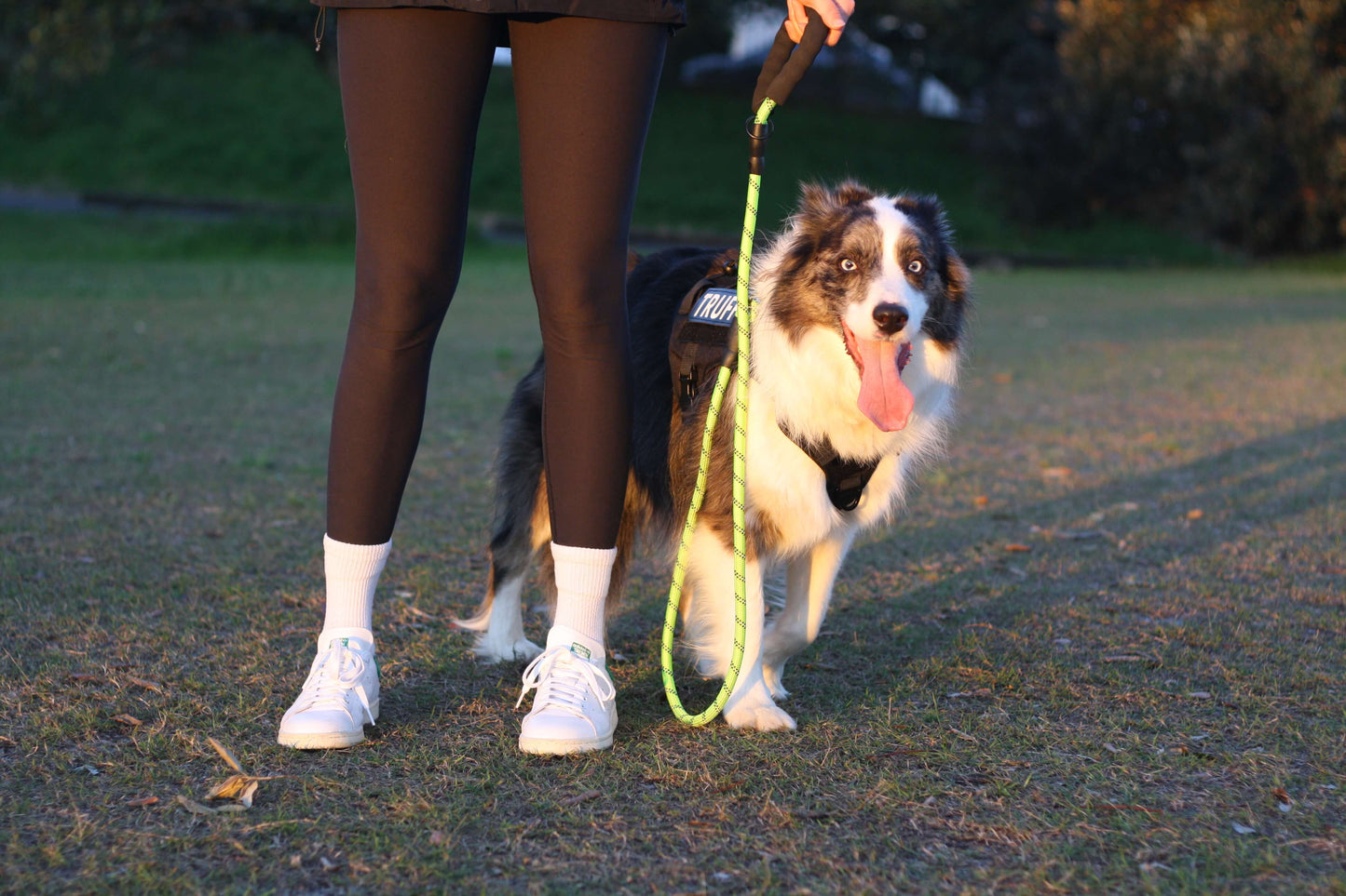 TEMPO Reflective Rope Dog Leash Neon Green