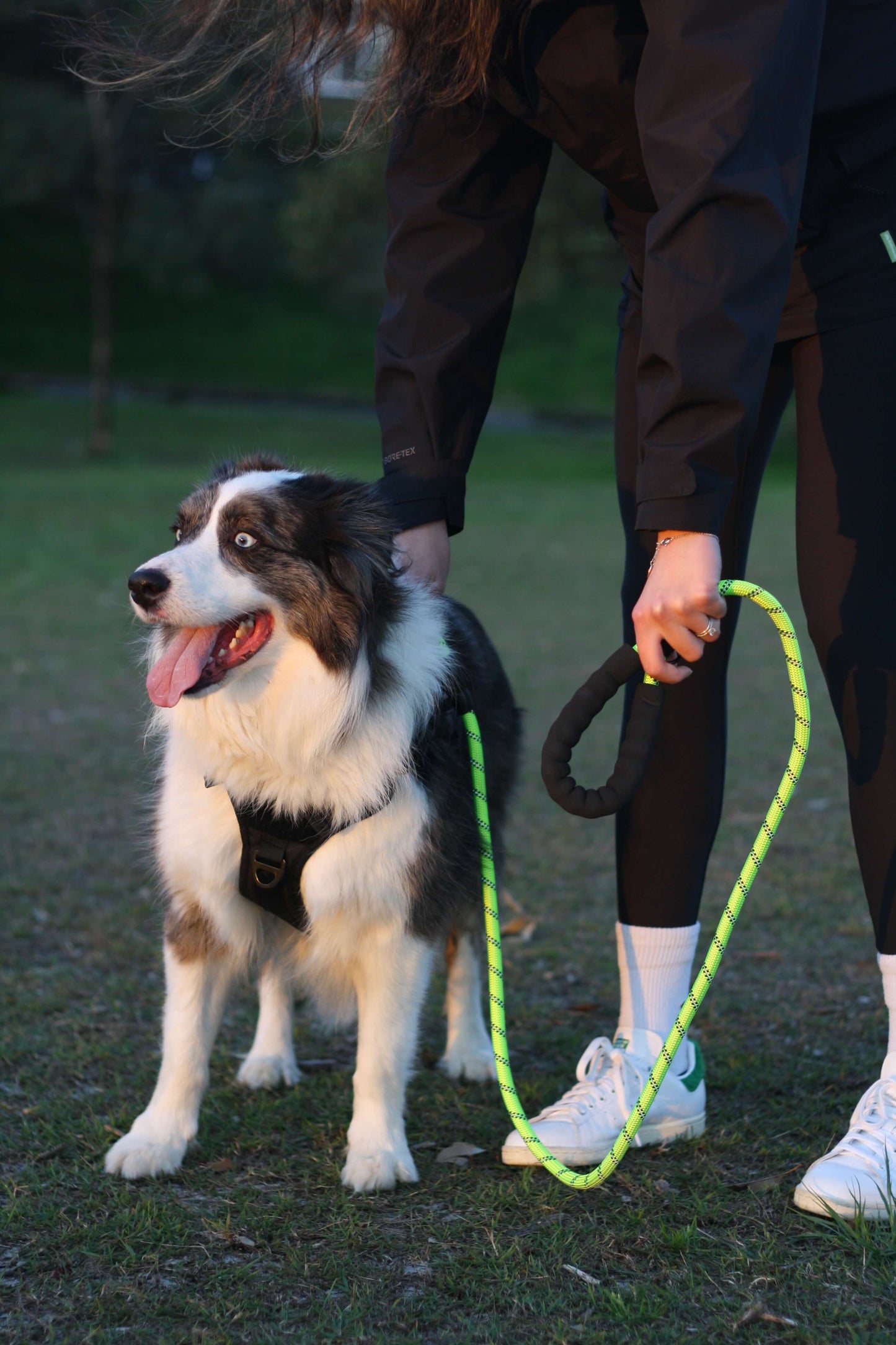 TEMPO Reflective Rope Dog Leash Neon Green