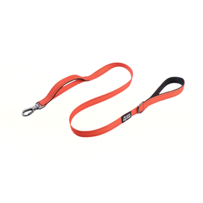 orange dog leash on white background