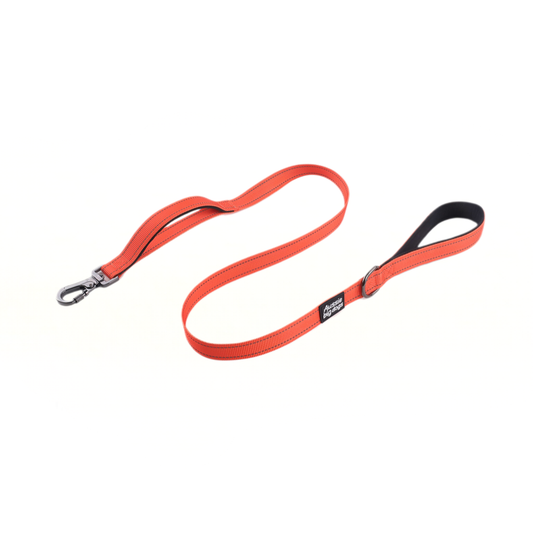 orange dog leash on white background