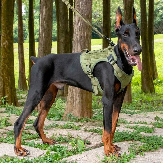 TITAN_green_large dog harness no pull