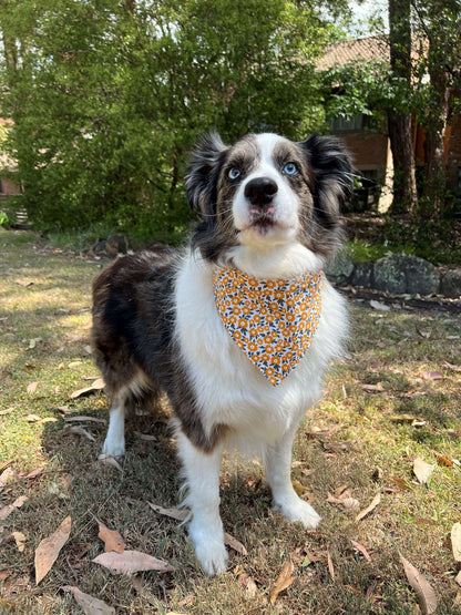 Bandana - Floral