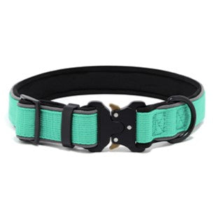 fang dog collar large turquoise