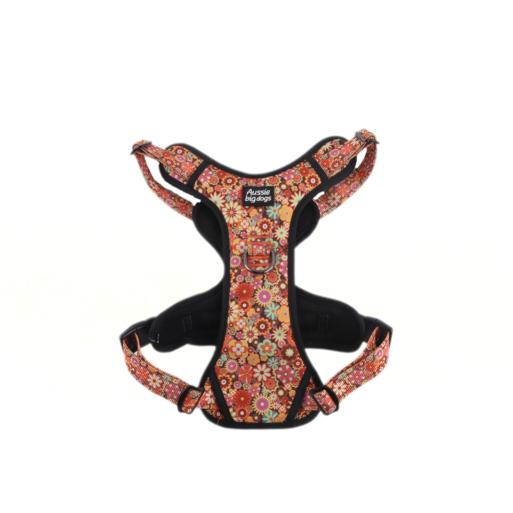 ATLAS No Pull Dog Harness Tangerine Bloom
