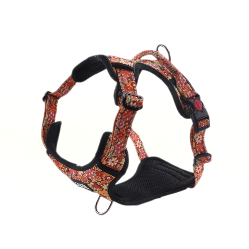 ATLAS No Pull Dog Harness Tangerine Bloom