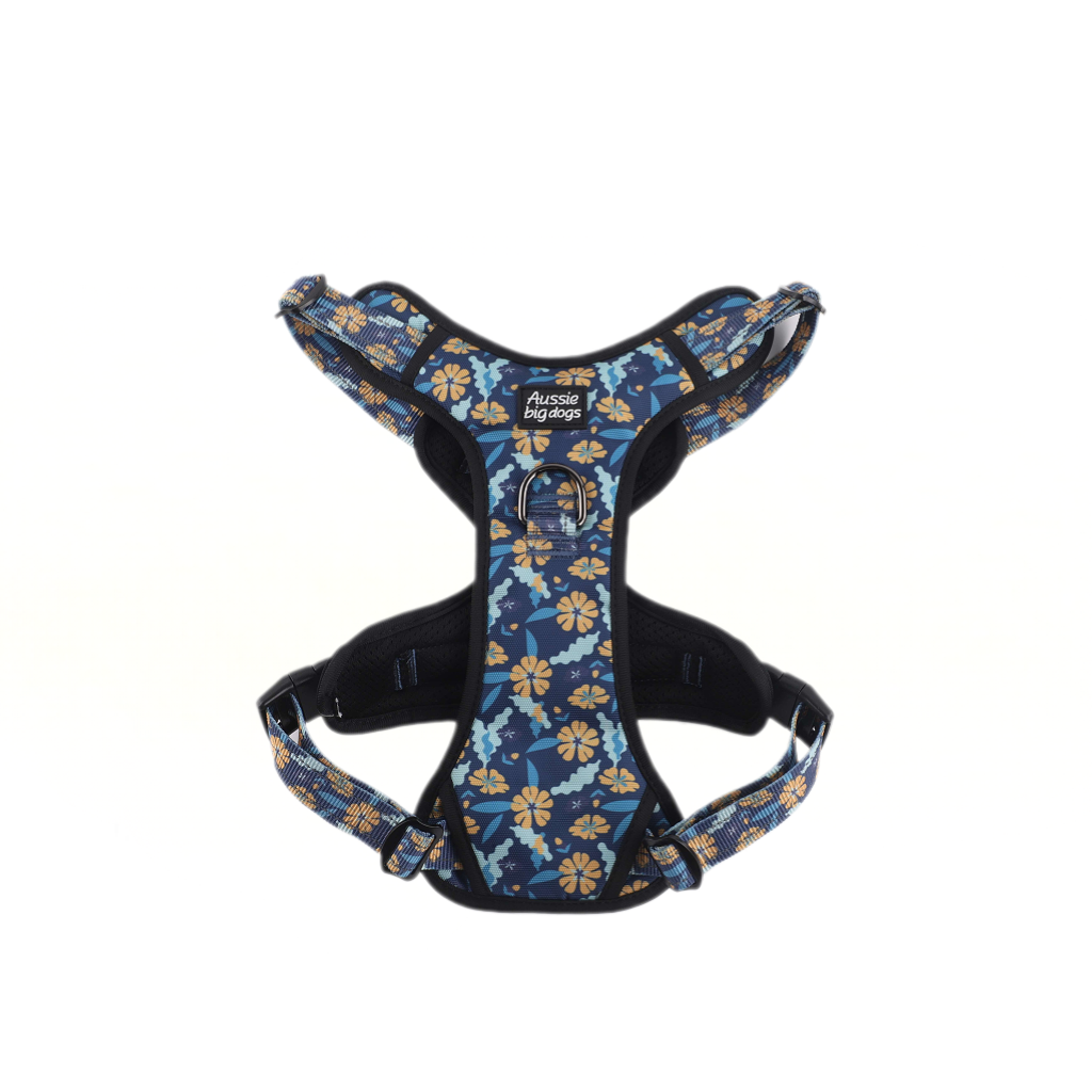 Dog harness with blue floral pattern on a white background