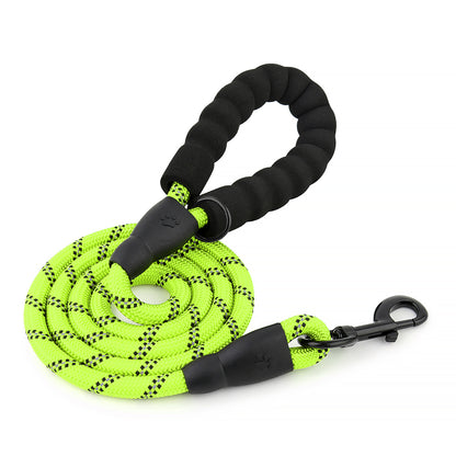 tempo dog lead neon green